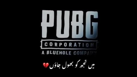 Pubg Lover