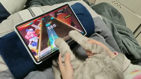Cute cutie playing game on tablet 📱