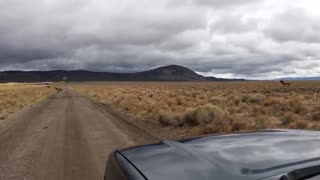 Elk 6x7 Bull Trips on Fence and Dies