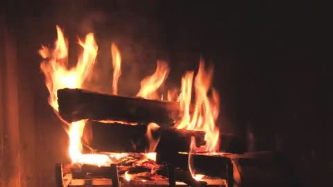 3 Relaxing Wild Music with Beautiful Fireplace