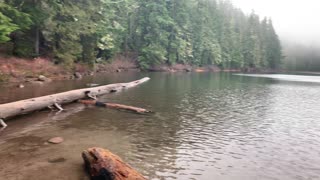 Oregon – Mount Hood National Forest – Hiking the Shoreline of Lower Twin Lake – 4K