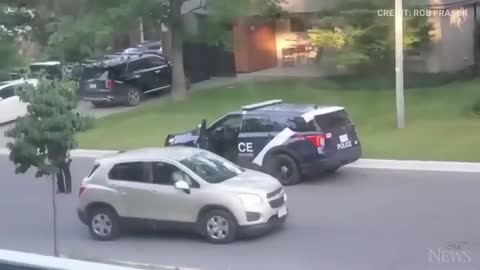 WATCH: Wild turkey faces off against Canadian police officer