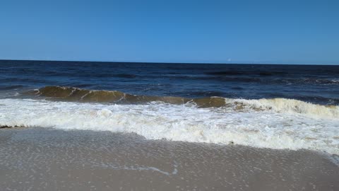 Pelican on the beach in North Carolina