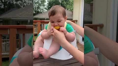 Funny babies eating lemon