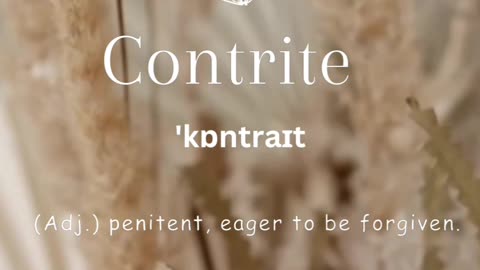 Contrite: Reflecting on Past Mistakes and Seeking Forgiveness