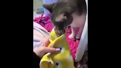 Cute animals video 📹 😍