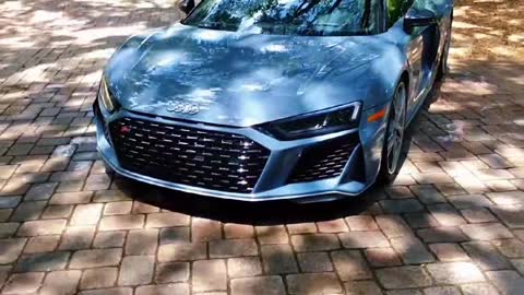 Washing and Detailing an Audi R8