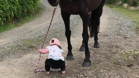 Little Girl Leads Horse