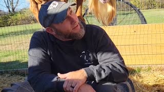 Goat Grabs Guy's Hat