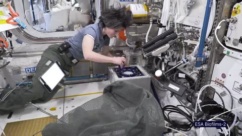 NASA space crew