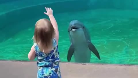 Dolphin talks to a young girl about #Jesus