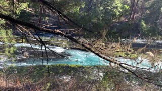 Two Arms of Spectacular Metolius River – Central Oregon – 4K