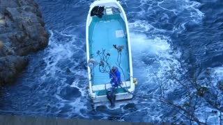 Taiji Japan - A Pod of 20 Striped Dolphins brutal killed