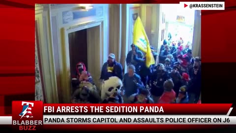 FBI Arrests The Sedition Panda