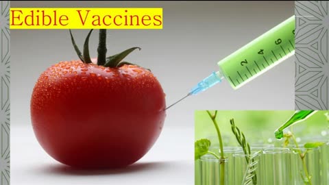 GMO Vaccines are the same GMO in Foods since the 1990's ft Edible Vaccines (NurembergTrials.net)