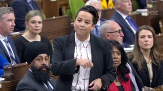 Conservative MP Melissa Lantsman blasts Trudeau's transport minister Omar Alghabra and other MPs for meeting with a known Holocaust denier