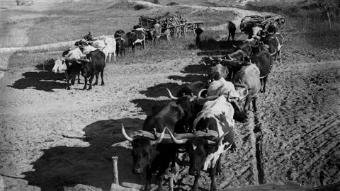 Flowing Through Generations Niobrara River Valley