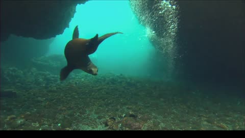 Kevin Costner The Official Film of Channel Islands National Park