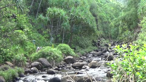 Ha'ena, HI — Kalalau Trail - Hanakapi'ai Falls #2