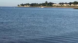 Osprey out fishing fisherman