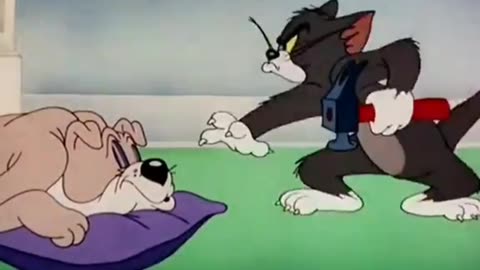 Tom and Jerry best seen 😍🔥