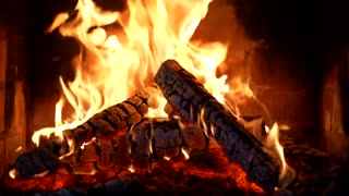 4K COZY FIREPLACE 🔥 CRACKLING FIRE AMBIENT SOUNDS ASMR 🦁✨💫