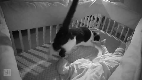 Cat Cuddles With Baby in Crib