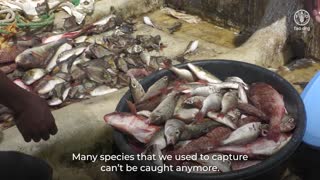 Sao Tome and Principe – Boosting artisanal fishing