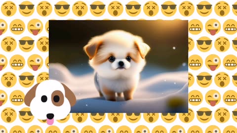 Cutipie Puppies videos 🐶😍 So Adorable 🐾😘
