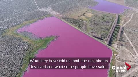 Why have two Argentina lakes turned pink? Environmentalists say it is because of pollution