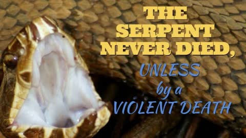 THE SERPENT NEVER DIED, UNLESS BY A VIOLENT DEATH.