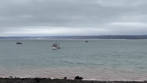 Part Of A Fishing Fleet Out Of Digby NS