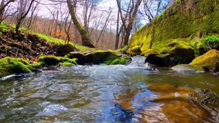Relaxing, Soothing, Forest Stream