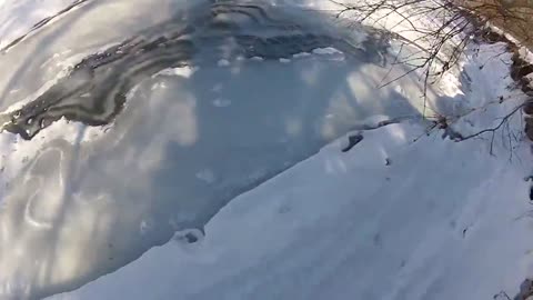 Cross Country Nordic Skiing in Toronto