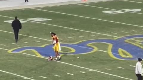 Security Guard Levels Man Who Ran On The Field During College Football Game