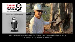 Exploring The Fundamentals Of Wildfire And Land Management With Dr. Brandon Collins Of UC Berkeley