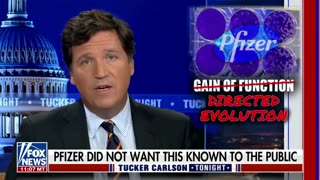 Tucker Carlson - Project Veritas just released an undercover video of a Pfizer executive