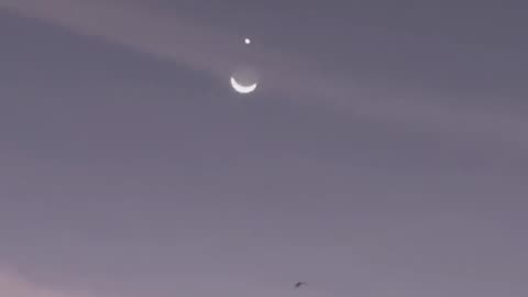 Moon with venus looks awesome!!🌙❤