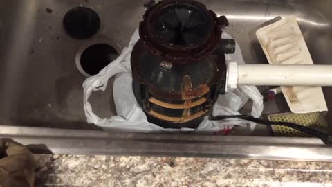 Easy Garbage Disposal Removal When Rusty Or Corroded