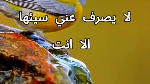 دعاء