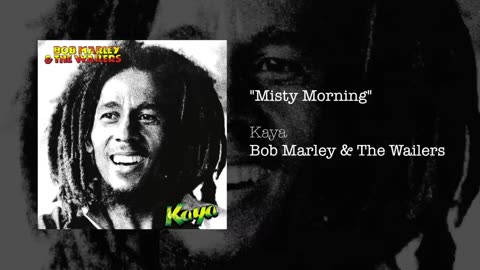 Bob Marley & The Wailers - Misty Morning (1978)