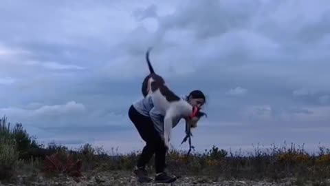 Girl Performs Tricks With Dog On Walk