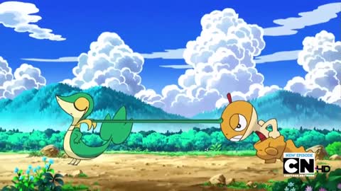 Pokemon Best Wishes Snivy easily subdues Scraggy