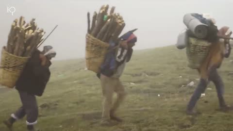 hunting Yarsagumba in the Himalayas