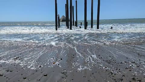 SS Palo Alto Pier Poles