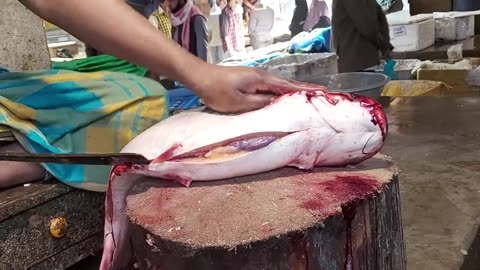 Amazing Big Pangas Fish Cutting Skills Live In Bangladesh Fish Market