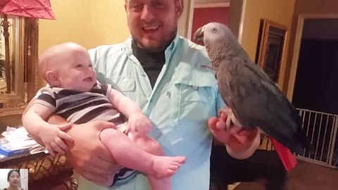 Nice Greeting! Funny Baby Say 'Hi' with Animals But...__ Just Laugh