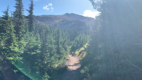 Oregon - Mount Hood - Entering an Alpine Wonderland