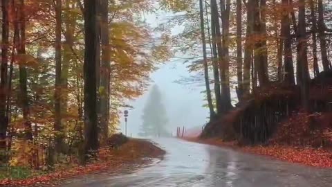 Hail storm in slow motion. #weather #hailstorm #nature