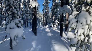 Rejuvenating Winter Exploration – Central Oregon – Swampy Lakes Sno-Park – 4K